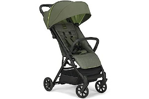 41wVfW2agfL._AC_UL320_