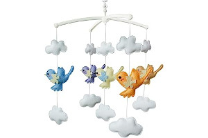 51+1VhsSZSL._AC_UL320_