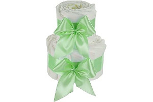 51YEoWpwbML._AC_UL320_