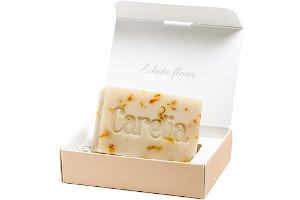 51jTX9FJmeL._AC_UL320_