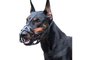 61zFC-nEKUL._AC_UL320_