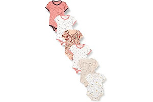 712l6brENhL._AC_UL320_