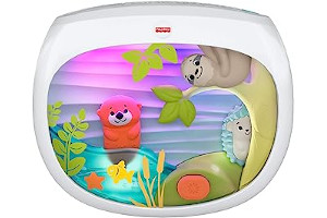 71L+JlngPfL._AC_UL320_