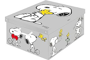 71Oe4ORBPFL._AC_UL320_