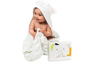 71hqegr4YjL._AC_UL320_