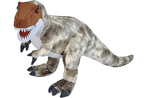 71rnwUig+WL._AC_UL320_