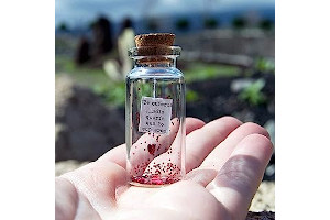 71y53q-b5lS._AC_UL320_