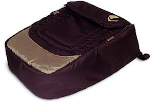 81PD0zSNtRL._AC_UL320_